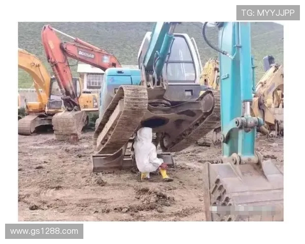 挖掘机夏季防蚊虫喷雾使用建议